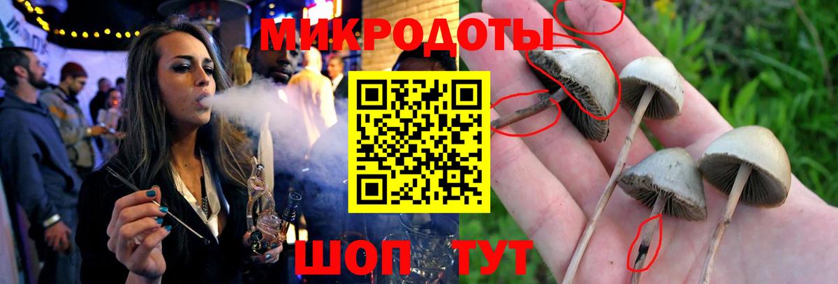 Псилоцибиновые грибы ЛСД  Галлюциногенные грибы Psilocybine cubensis  Новочебоксарск  где продают   Вход с VPN 